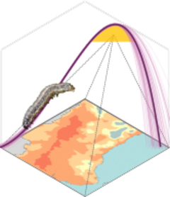 mappestRisk website
